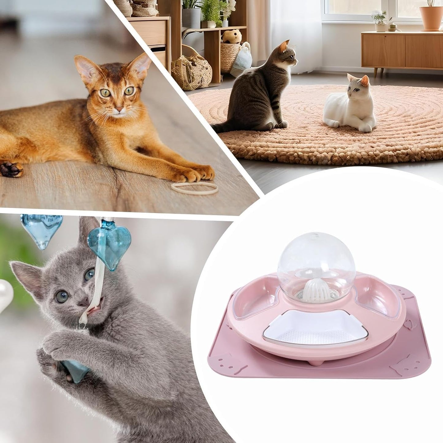 Food Bowl for Cats,Kitten Watering Bowl | Kitten Feeder Multifunctional for Home, Anti-Slip Pet Feeding Watering Dish