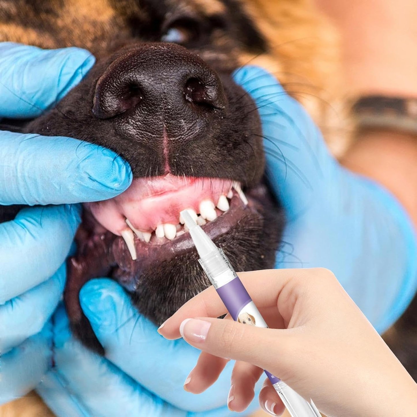 Pet Smile Toothpaste for Dogs, Pet Oral Repair Gel for Dogs, Dog Toothpaste TartarRemover, Best Oral Care Gel Freshening Breath Gel for Dogs And Cats 5ml 1.5x12.7cm/0.51x4.96