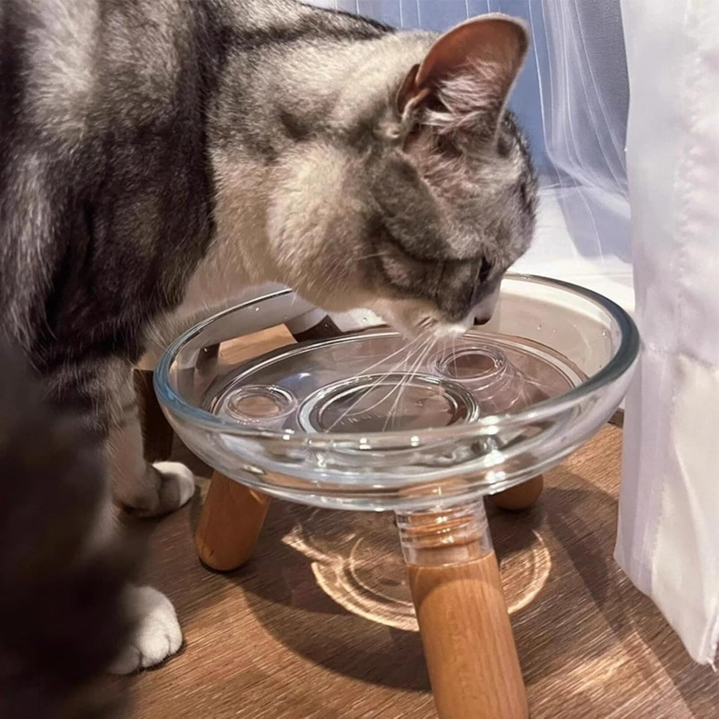 Ciotola rialzata per cani e gatti, ciotola rialzata per cibo e acqua, con supporto per proteggere la colonna vertebrale e migliorare la postura