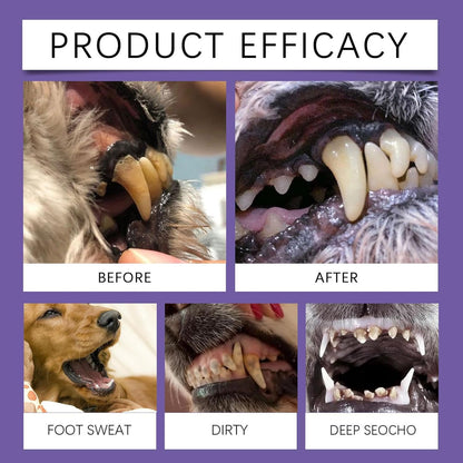 Pet Smile Toothpaste for Dogs, Pet Oral Repair Gel for Dogs, Dog Toothpaste TartarRemover, Best Oral Care Gel Freshening Breath Gel for Dogs and Cats 6ml 1.3x12.6cm/0.51x4.96