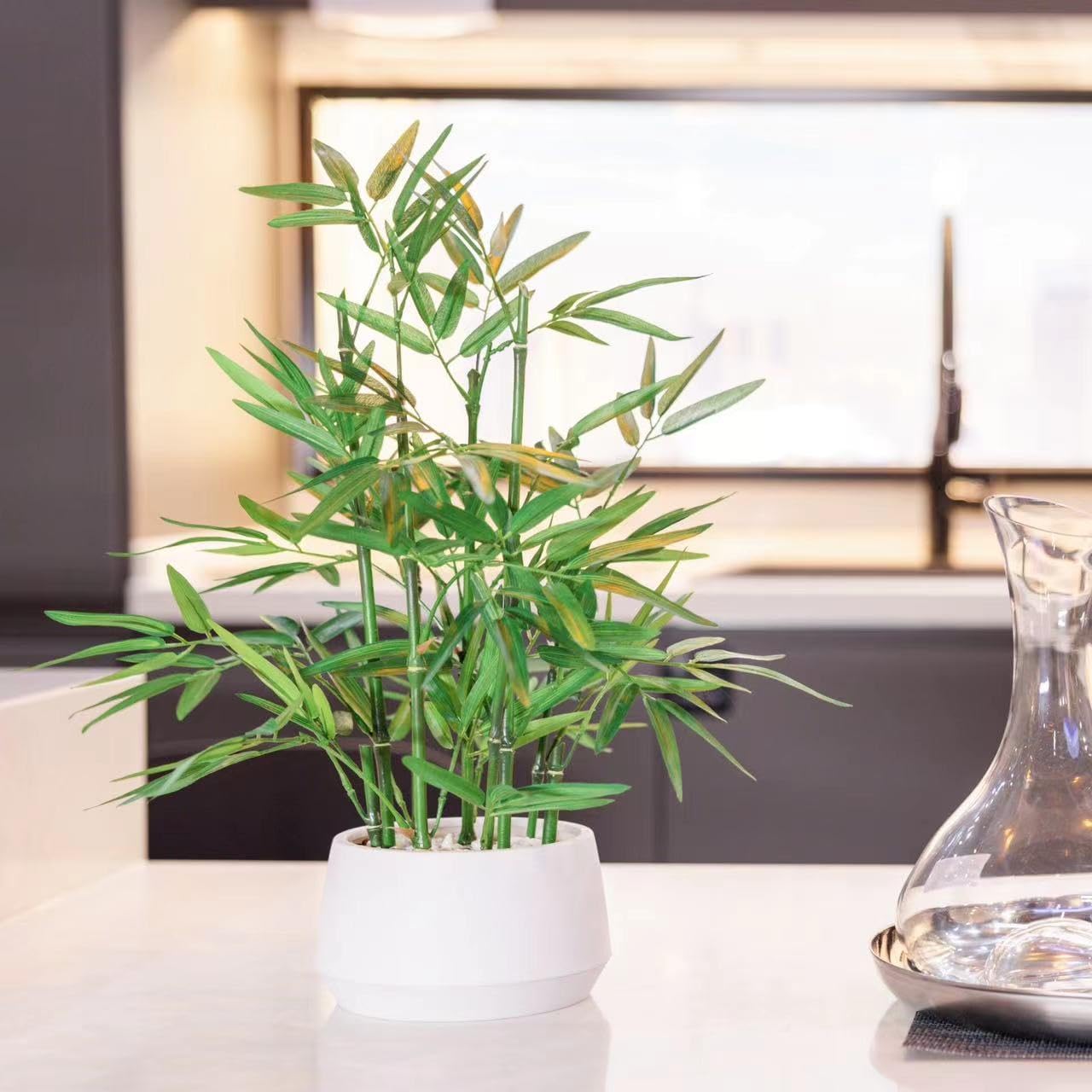 365 Blooming Decor 18" White Potted Faux Bamboo Plant- Luxury Artificial Bamboo Tree in White Pot for Home, Office, Kitchen, Counter Top, Indoor Decor, Money Tree, Lucky Bamboo Tree