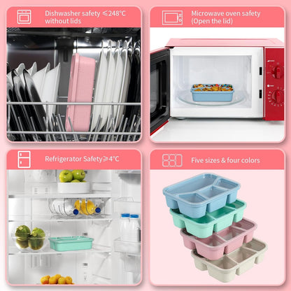 XGXN Bento Box Adult Lunch Box (4 Pack), 4-Compartment Meal Prep Container for Kids, Reusable Food Storage Containers with Transparent Lids, No BPA, Microwaveable (Wheat (Green/Blue/Pink/Beige))