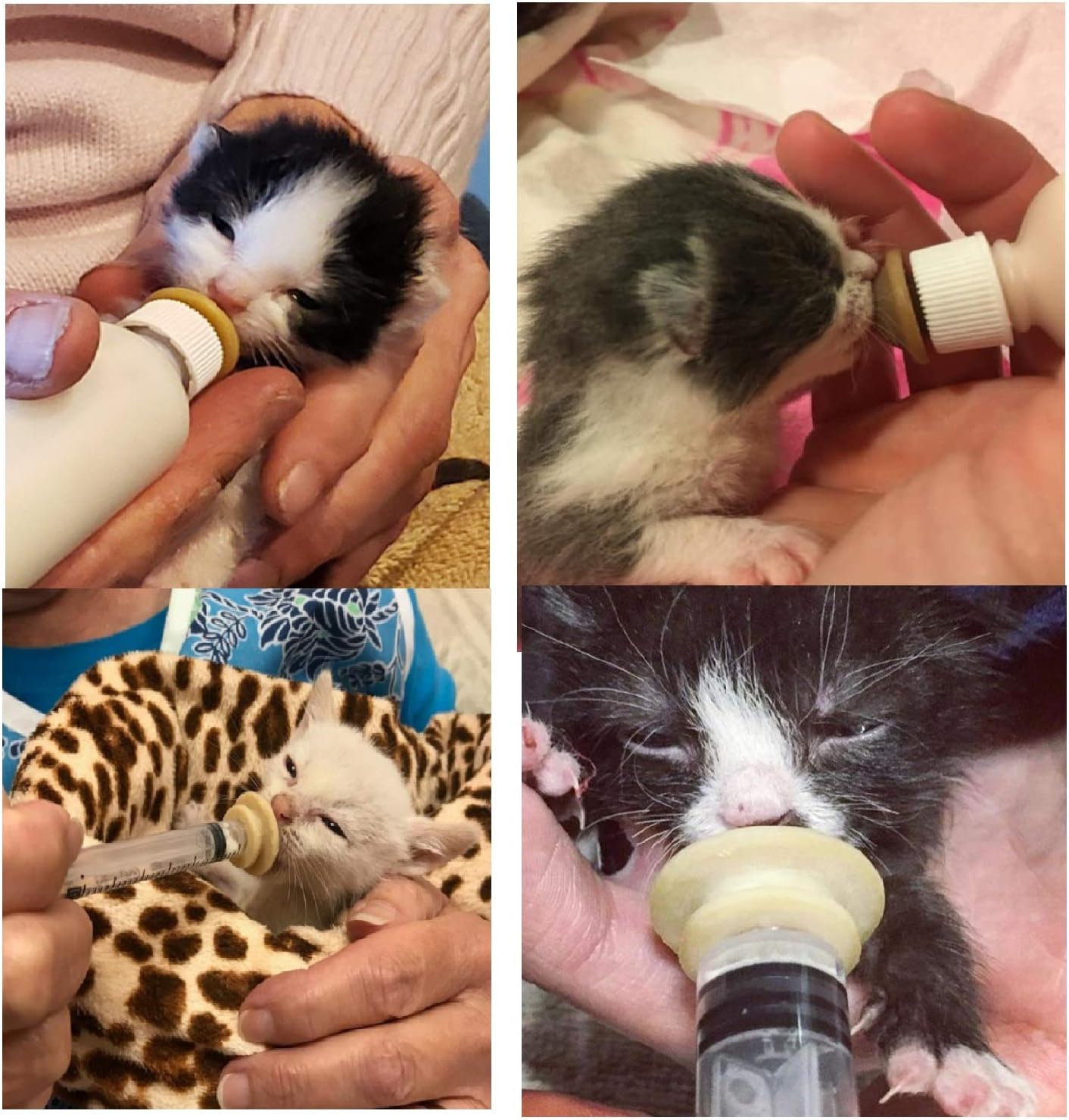 Newborn pet bottle， Pet Feeding bottle that can replace the Original Pacifier, Suitable for Newborn kittens, Puppies, Rabbits, Squirrels and other Small Animals, Most suitable for Newborn small mammals,