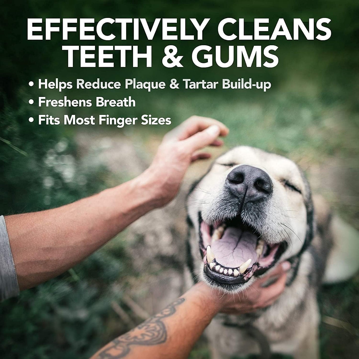 Vet's Best Teeth Care Wipes - Reduce Plaque & Freshen Breath - Dental Cleaning Wipes for Dogs and Cats - 50 Disposable Wipes