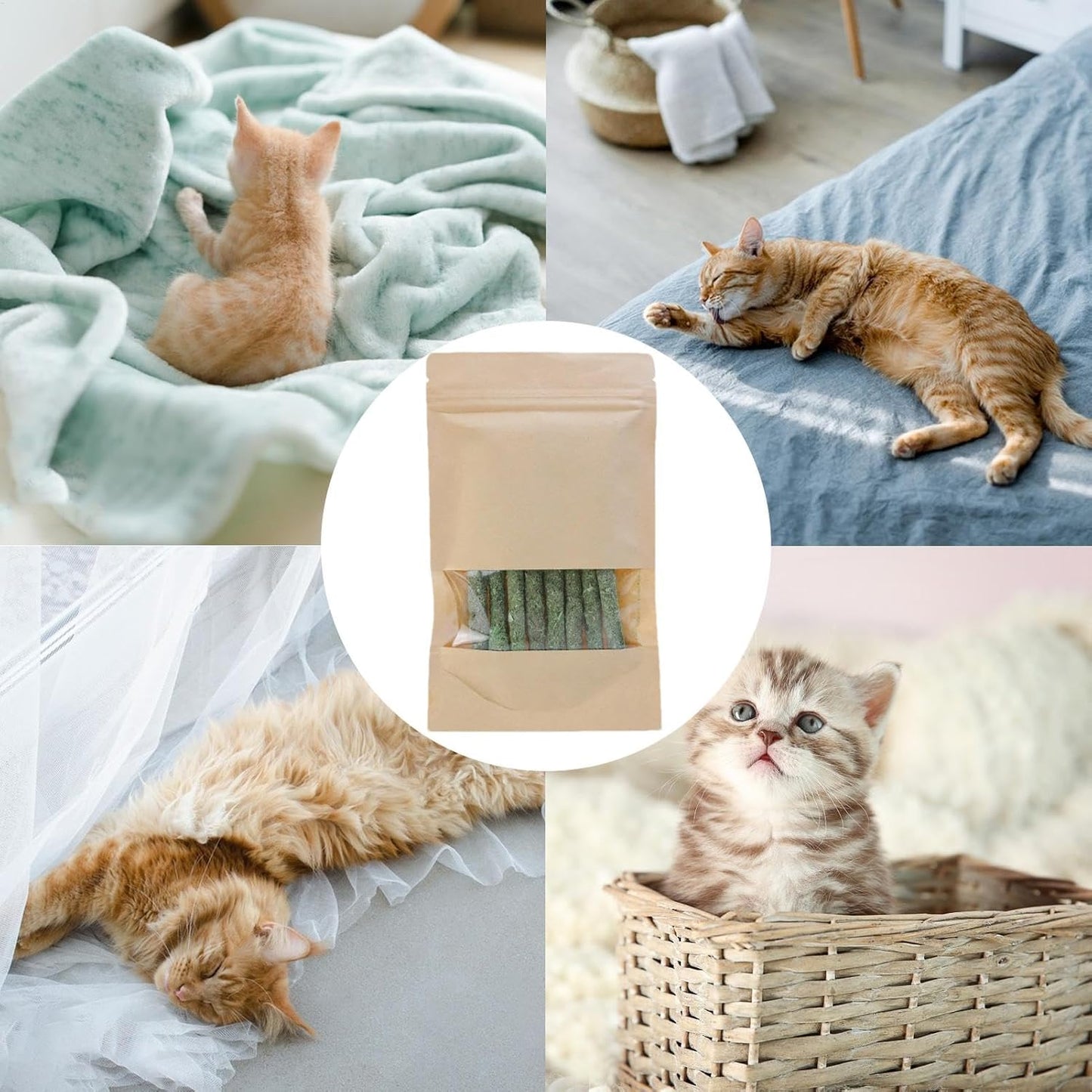 Cat Grass Chew Stick - Catnip Chew Stick, Organic Cat Tooth Cleaning Toy, Natural Cat Oral Care | Remover, Breath Freshener, Stress Reducing Chews for Hairball Removal