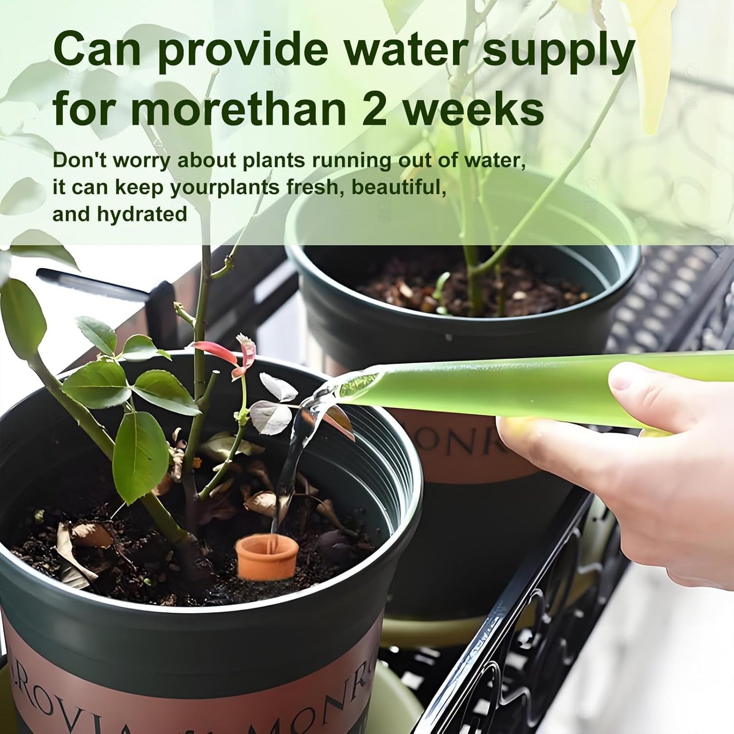 Plant Watering Globes, 4 Pack Terracotta Pots Self Watering Pots, Slow Release Olla Watering Pots While Away - Self Watering Spikes for Indoor & Outdoor Plants with Easy Top Refill System
