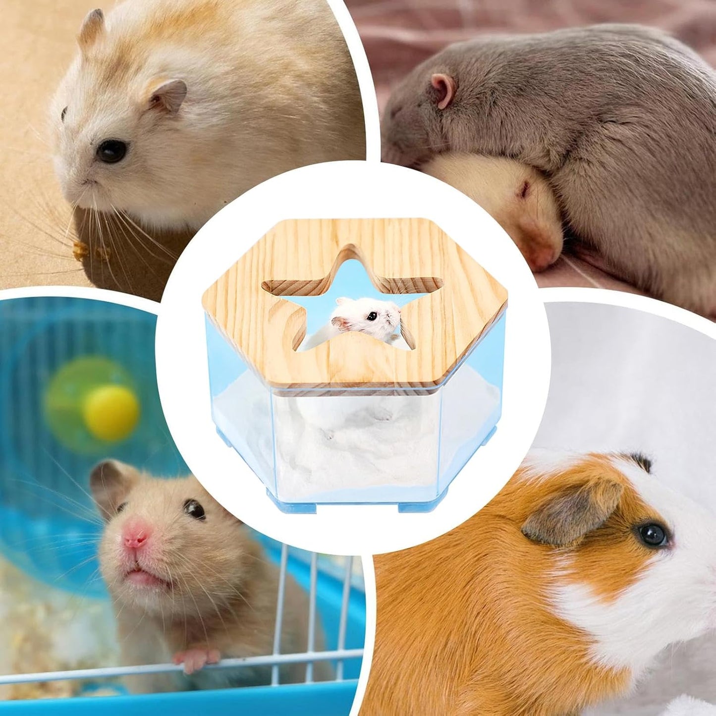 Hamster Sand Bath Container, Transparent Hamster Toilet, 6.69x3.54in Multifunctional Gerbil Accessories, Easy Clean Design, Reusable Pet Supplies for Daily Use, Road Trips