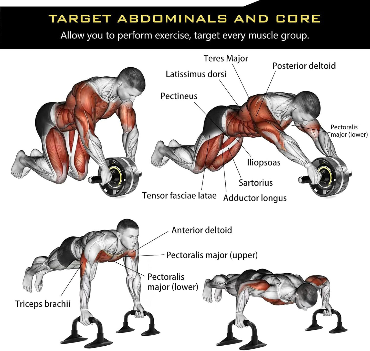 SUPFIT Ab Roller Wheel, 6 in 1 Ab Roller kit with Knee Pads, Push-Up Bars, Resistance Bands, Workout Poster, Workout Guide, Perfect Home Gym Equipment for Men Women Abdominal Exercise