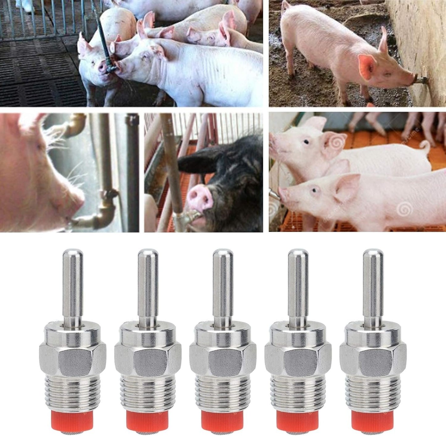 5pcs Automatic Waterer Safety Health Water Saving Water Salvezza Acqua Struttura Semplice Gambella Acqua per Casa
