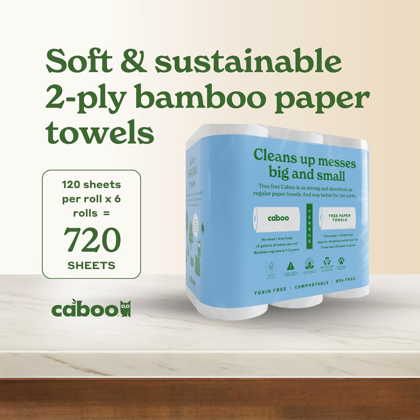 Caboo Tree Free Paper Towels, 6 Rolls, Earth Friendly Sustainable Kitchen Paper Towels with Strong 2 Ply Sheets