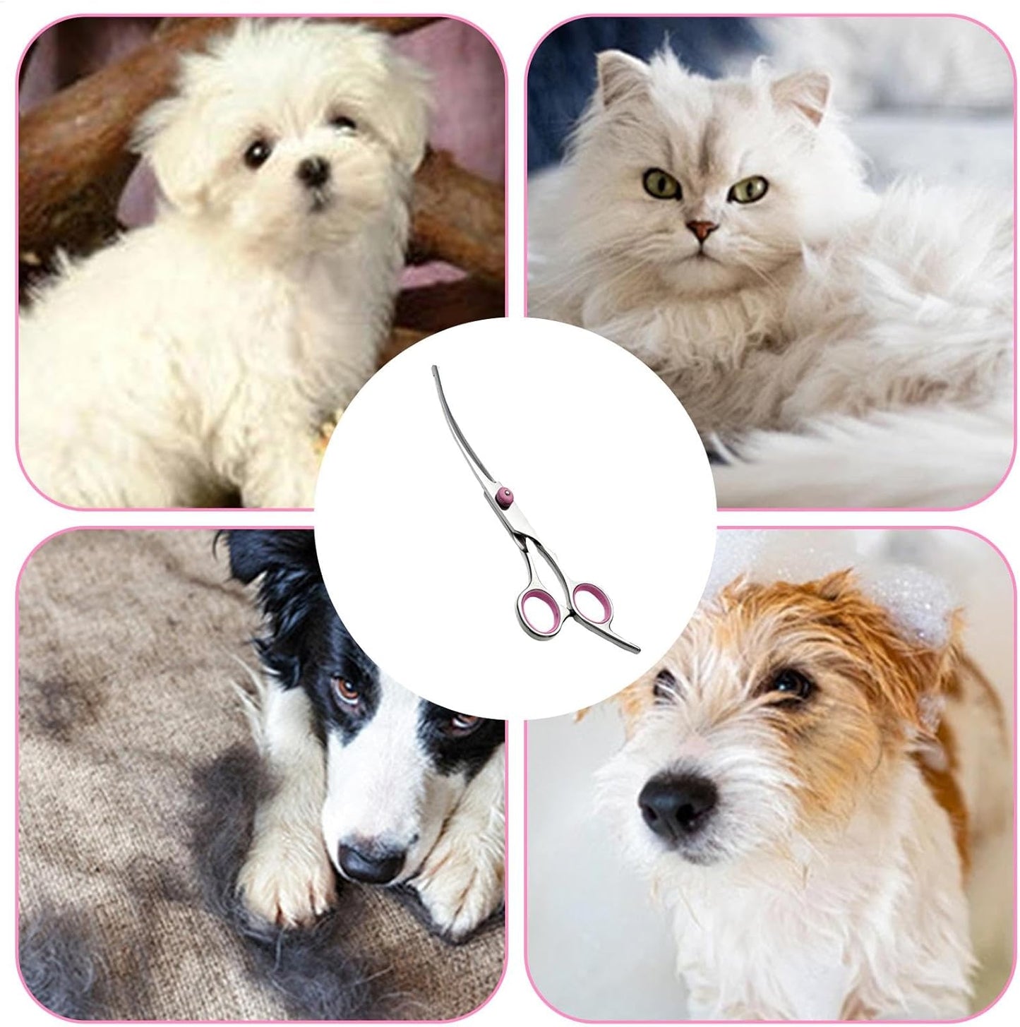 Forbici per capelli di cane per la cura, forbici curve per la cura del cane – forbici per capelli in acciaio inox – custodi di sicurezza – forbici per la cura degli attrezzi con punte rotonde