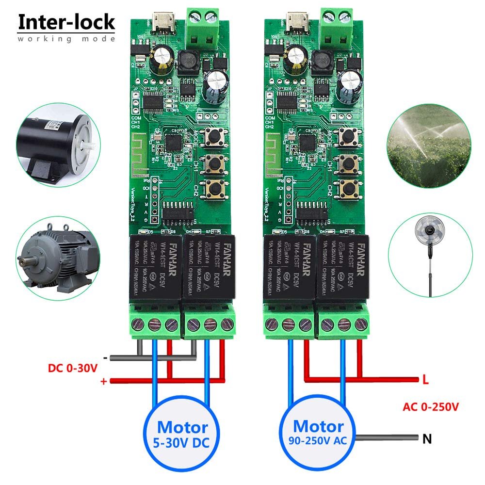 Newgoal 2-Channel WiFi Smart Switch Relay Module, TUYA/Smart Life App for Smart Home Remote Control, Momentary Time Adjustable, Compatible with Alexa/Google Assistant
