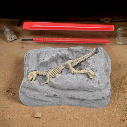 Dinosaur Dig Kit, Scavo Toy Set, 3.15x2.56in Stem Learning Activity, Educational Archeology Tools, Sensory Exploration Play for Outdoor, Adventure Craft, Kids Science Fun