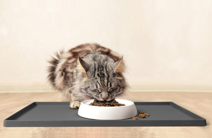 CatGuru Cat Bowls, Whisker Stress Free Cat Food Bowl, Reliefs Whisker Fatigue, Wide Cat Bowl, Non Slip Cat Food Bowls, Shallow Cat Dish, Cat Feeding & Watering Supplies (Ceramic, White)