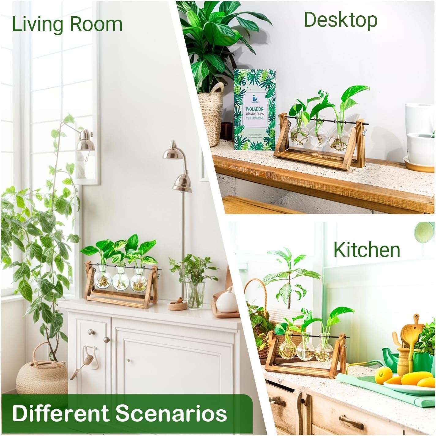 Ivolador Desktop Glass Plants Terrariums Bulb Vase with Retro Solid Wooden Stand and Metal Swivel Holder for Hydroponics Plants Home Garden Wedding Decor Indoor Outdoor (3 Bulb Vase)
