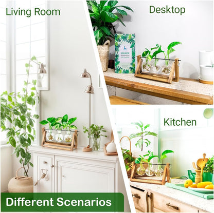 Ivolador Desktop Glass Plants Terrariums Bulb Vase with Retro Solid Wooden Stand and Metal Swivel Holder for Hydroponics Plants Home Garden Wedding Decor Indoor Outdoor (3 Bulb Vase)
