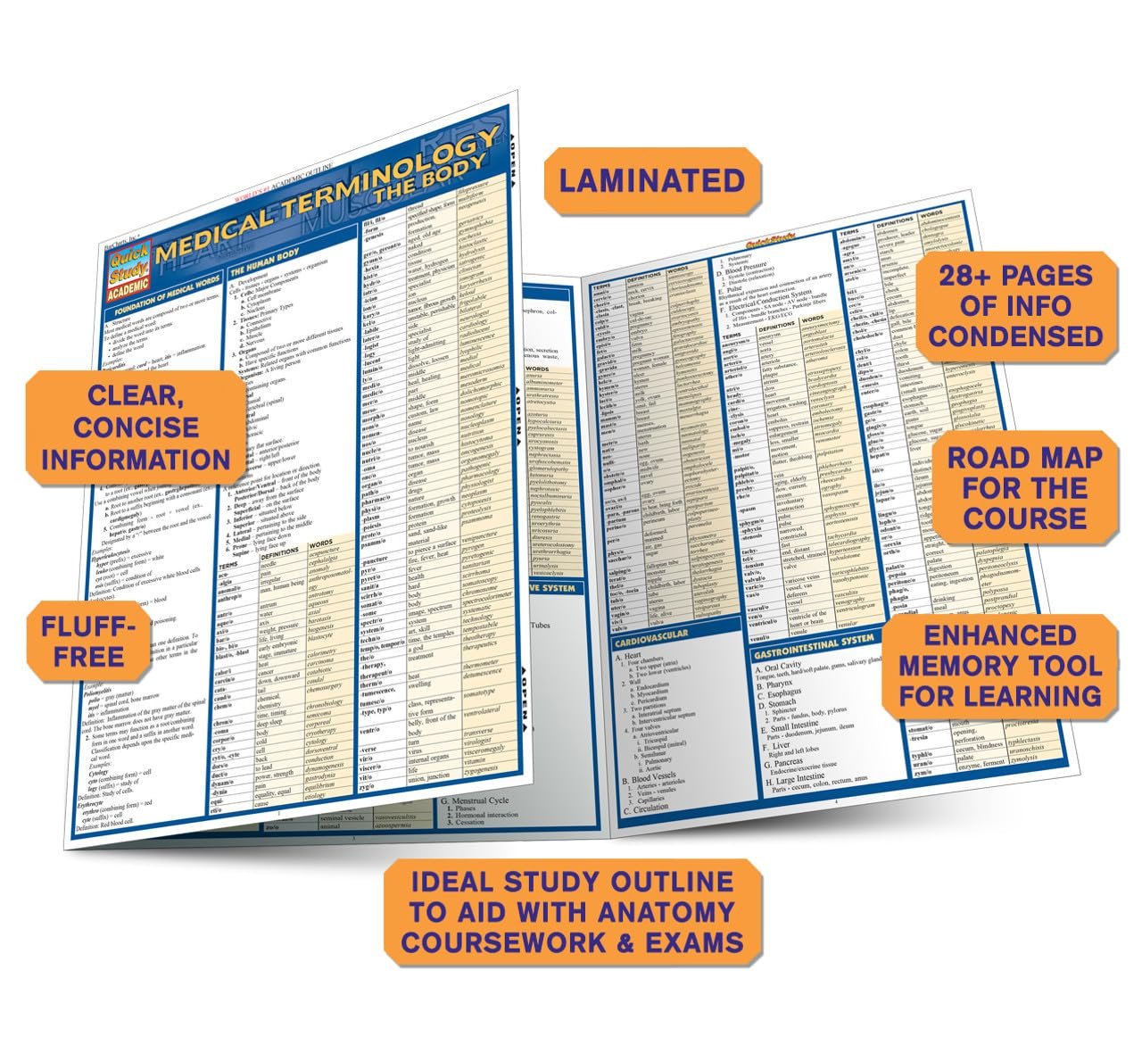 Medical Terminology: The Body: QuickStudy Laminated Reference Guide