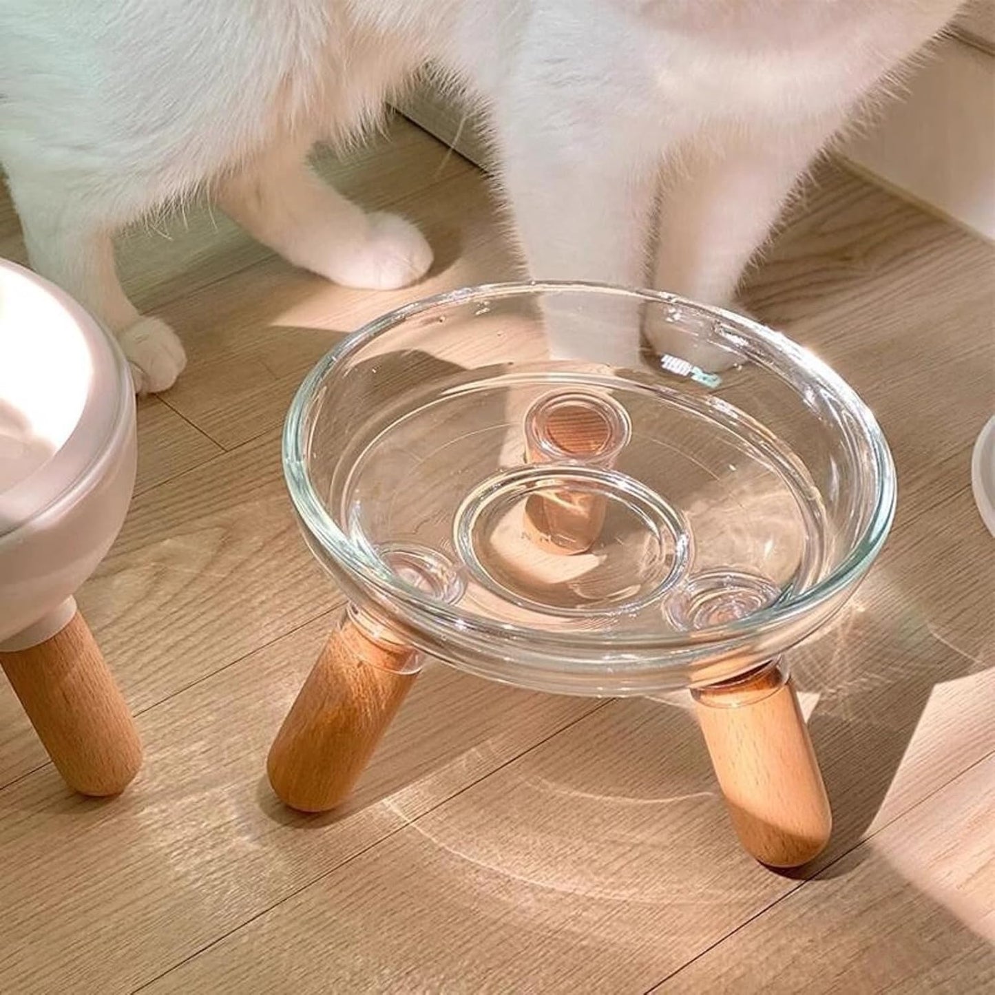Ciotola rialzata per cani e gatti, ciotola rialzata per cibo e acqua, con supporto per proteggere la colonna vertebrale e migliorare la postura