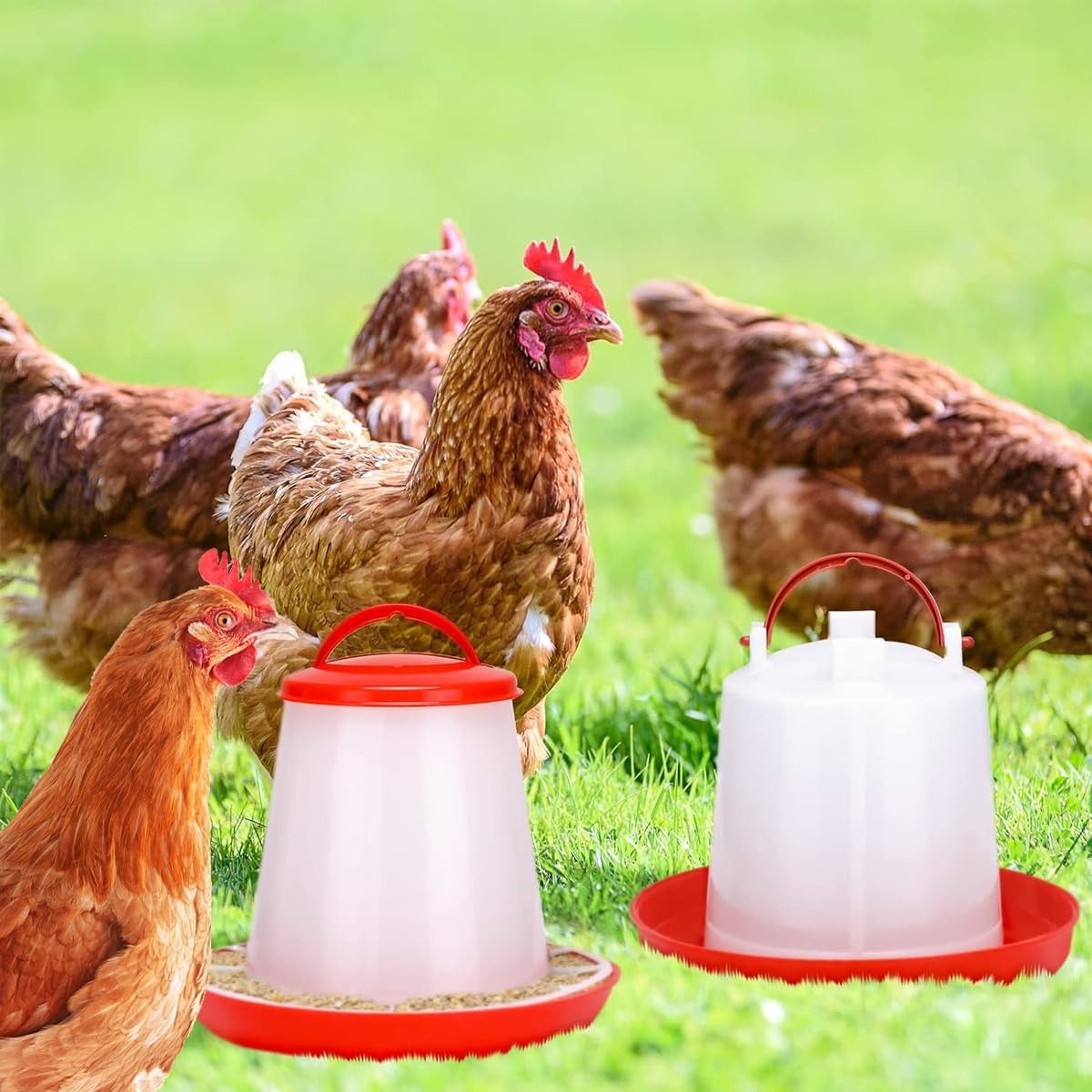 AIMALL Automatic Chicken Bird Chook Poultry Feeder Drinker Chicken Poultry Waterer AU