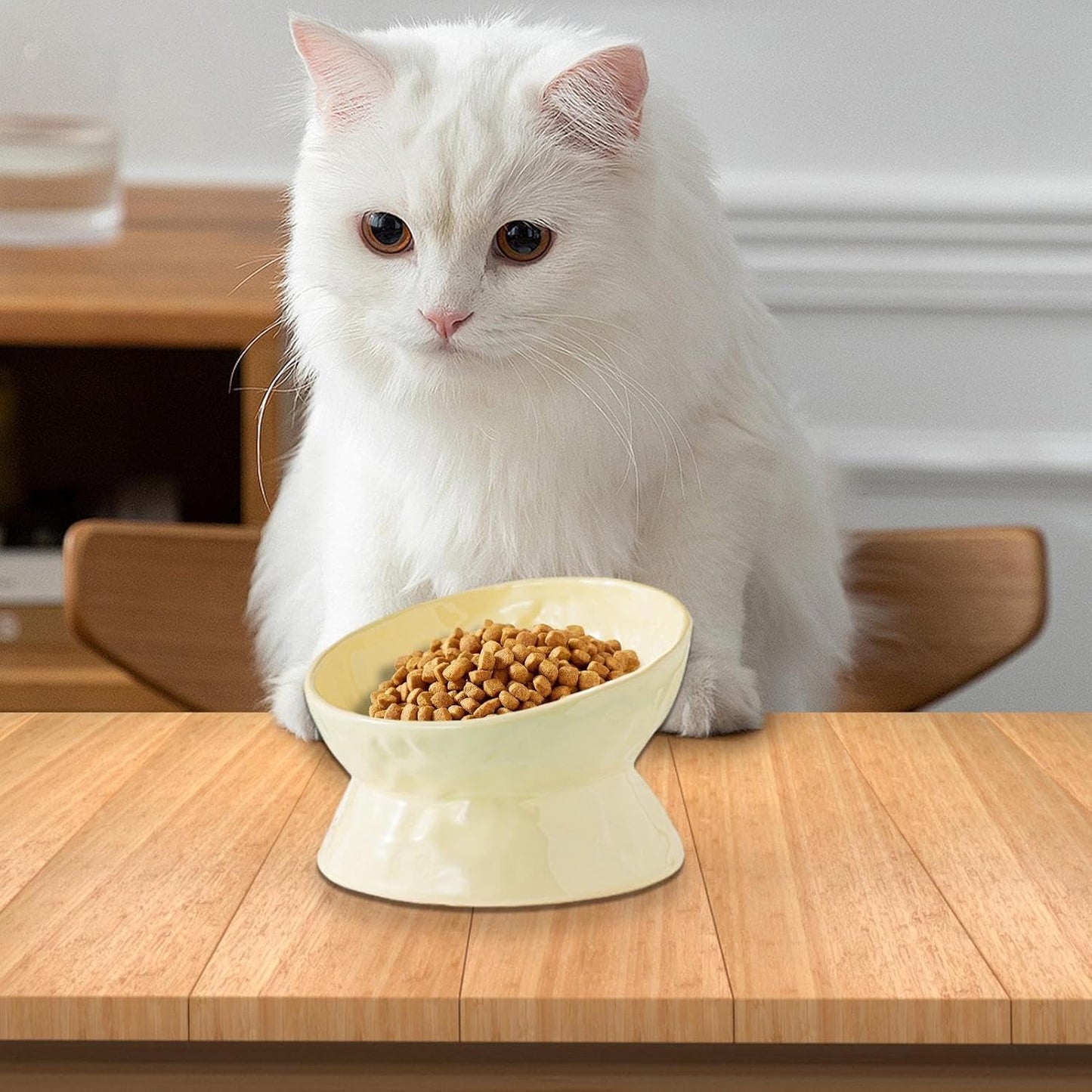 Ceramic Cat Food Bowls Elevated | Tilted Feeding Dish Water Bowls,Pet Feeding Watering Supplies for Indoor Cat and Dog, Protect Pet's Spine