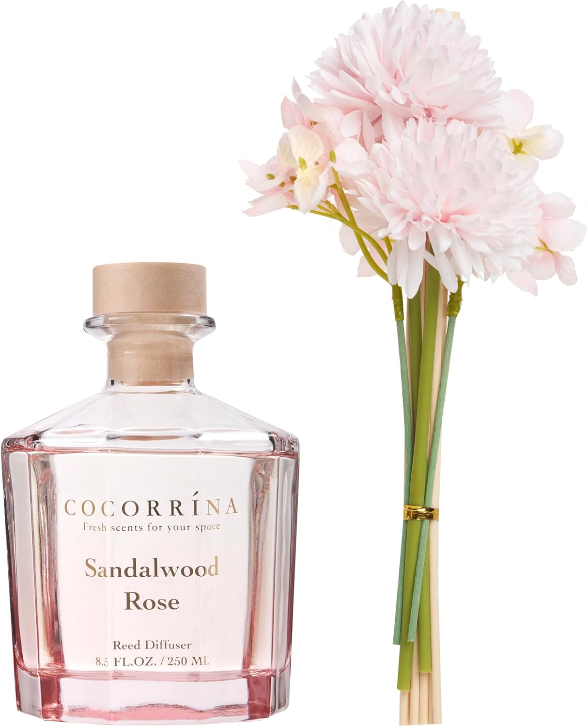 COCORRÍNA Reed Diffuser Set- Sandalwood Rose 8.5oz Flower with 8 Sticks, Home Fragrance Reed Diffuser for Home Bedroom Office Bathroom Shelf Decor (Master Collection)
