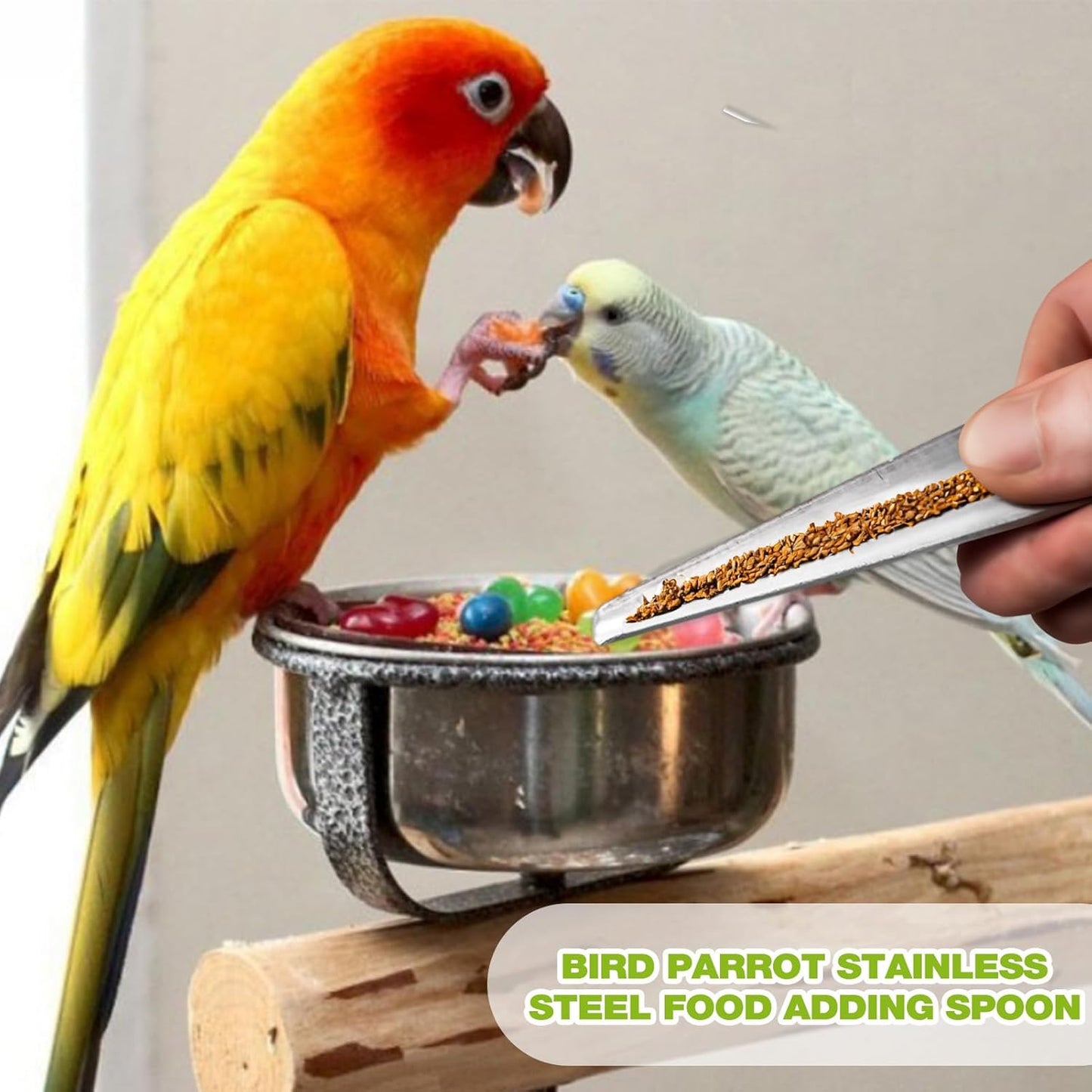 Bird Food Scoop | with Long Handle Hand Food Adding Feeding Tableware Spoon,Bird Parrot Feeder Spoon Stainless, Parrot Feeding Scoops, Birds Feeding and Watering Supplies Pochy