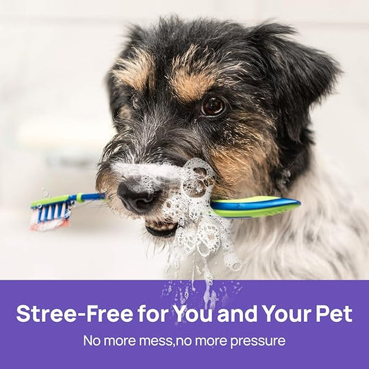 HICC PET Oral Care Spray for Dogs and Cats, Pet Breath Dental Care Spray, Dog Gingivitis Treatment, Fight Bad Breath Caused by Plaque and Gum Redness, Dog Tooth Brushing Kit, 5.1 Fl Oz