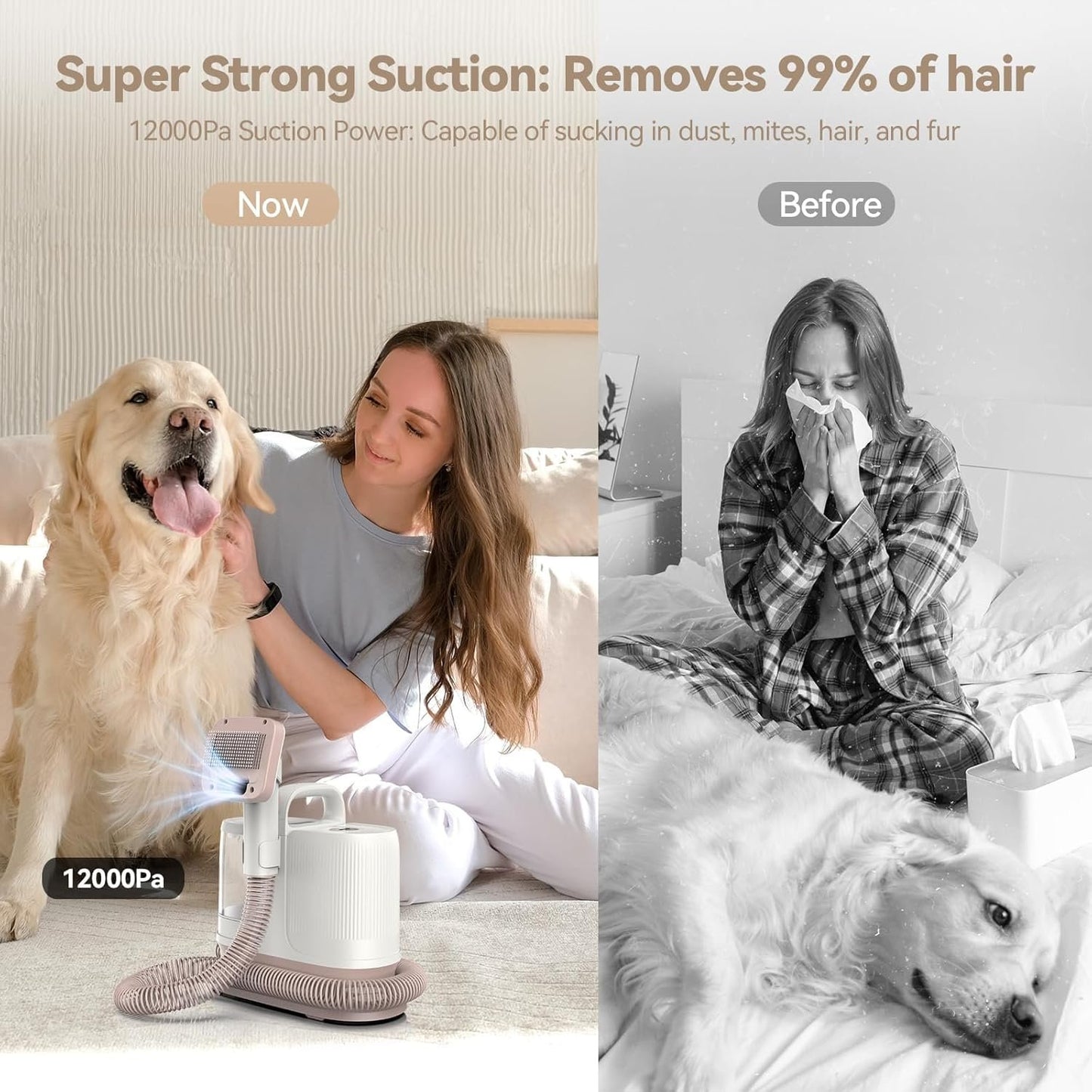 Redroad P17 Dog Grooming 400W, 6-in-1 Function, 3 Speed Settings, For Pet Grooming, Shaving, and Vacuuming, Quiet Design for Trimming Cat and Dog Hair, Vacuum Suction Removes 99% of Pet Hair