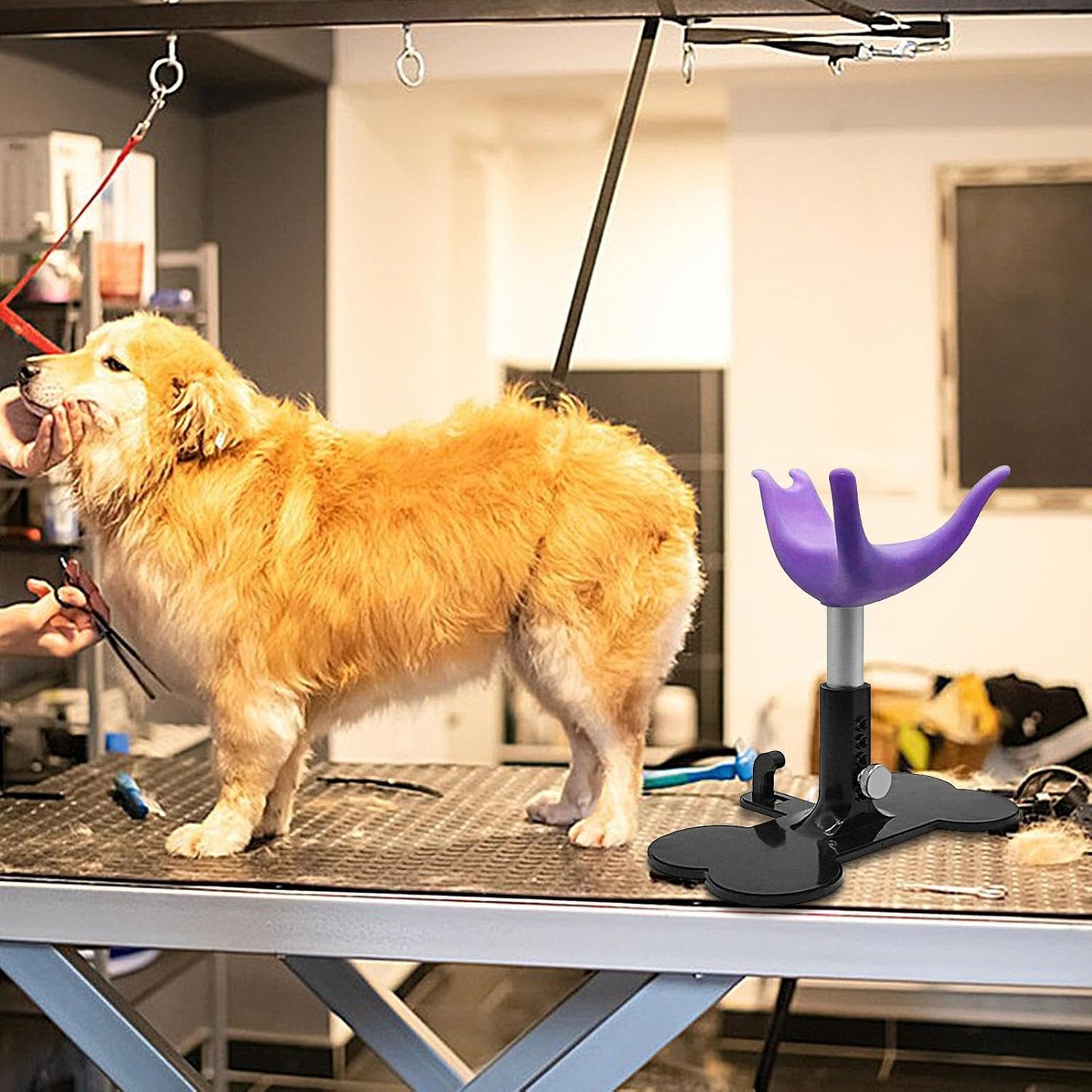 Compatto Dog Grooming Stand, Puppy Bathing Support, Height Adjustable Ladder Bench, Non-Slip, Sturdy Steel Frame, Black, Bathing Showering Trimming for Dogs and Pets