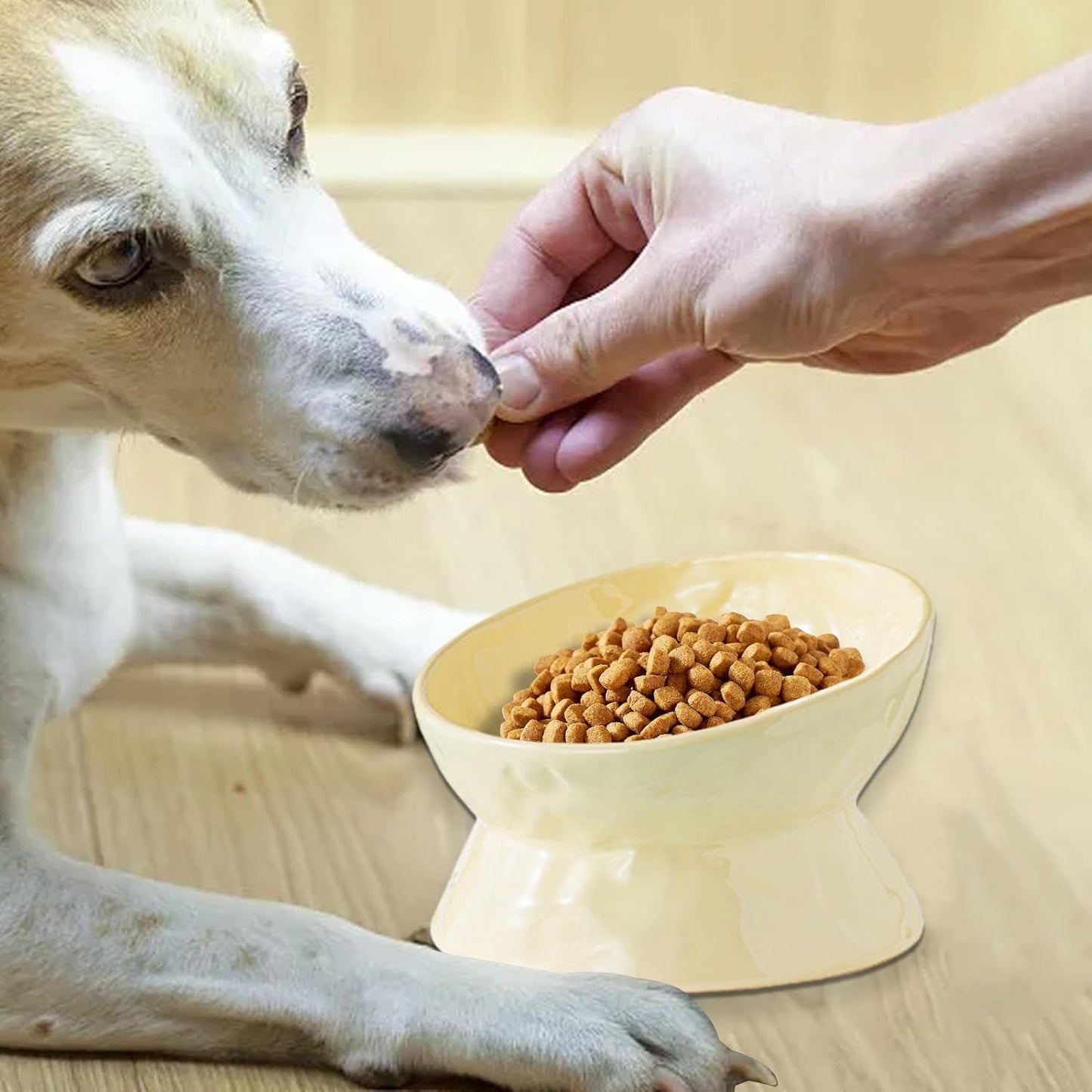 Ceramic Cat Food Bowls Elevated | Tilted Feeding Dish Water Bowls,Pet Feeding Watering Supplies for Indoor Cat and Dog, Protect Pet's Spine