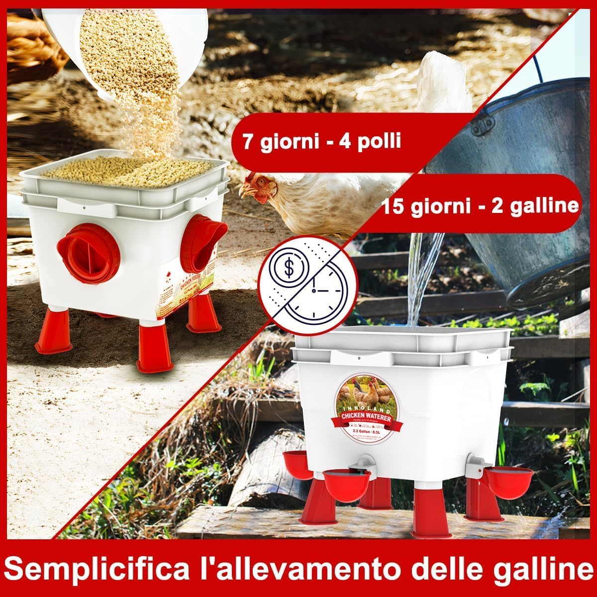 INNOLAND Chicken Feeder and Drinker Set 6kg/8.5L | Chicken Drinker, Automatic Chicken Feeder 4 Openings/4 Cups, Adjustable Feet, Steel Chains for Poultry
