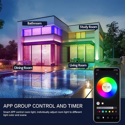 Hitish RGB Ceiling Light, 30W 2200LM Smart Ceiling Light with Remote & Smart APP Control, 2700-6500K Dimmable Color Changing LED Light Fixture Compatible with Alexa Google Home for Bedroom Living Room