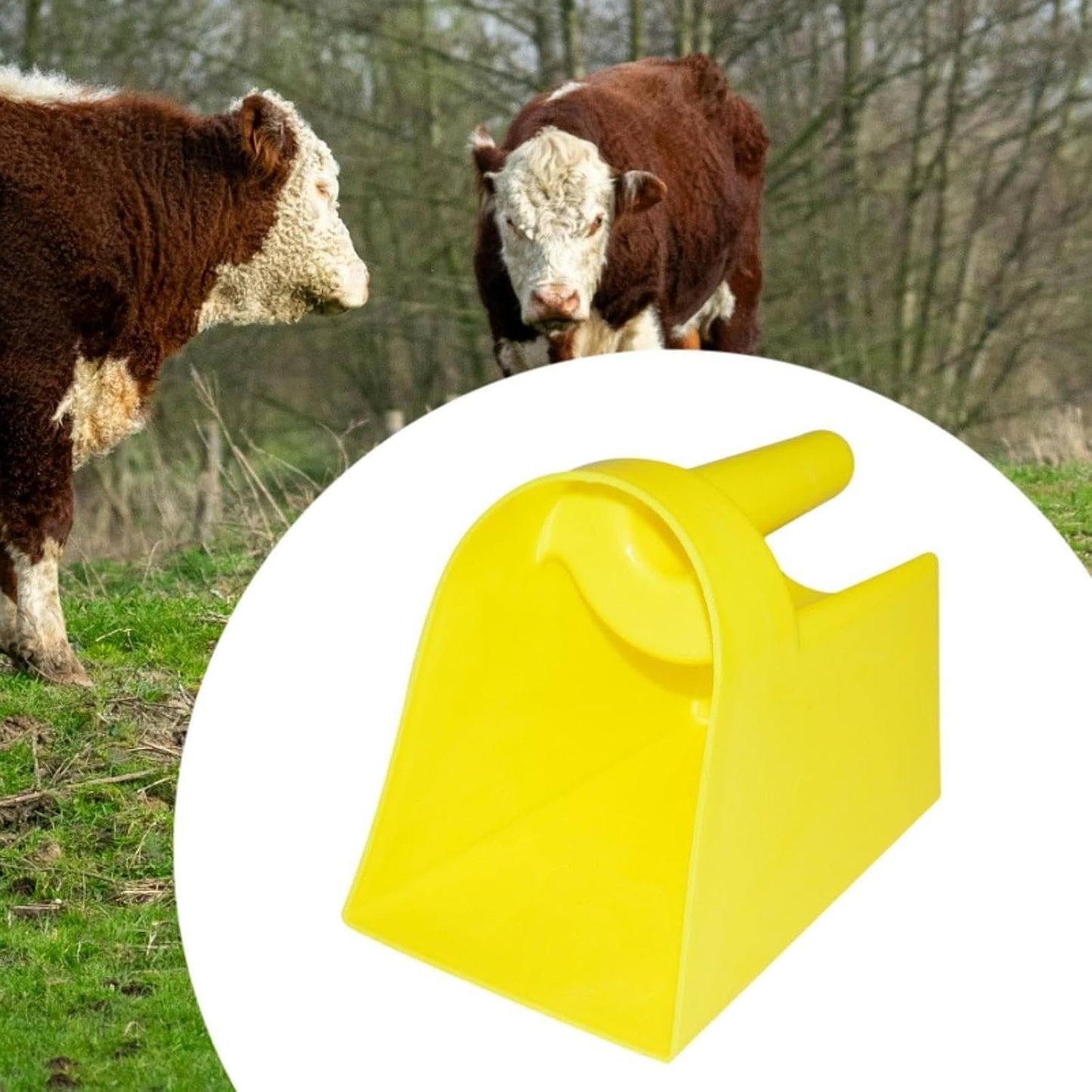 Generic Heavy Duty Grain Picker, Closed Feed Scoop, Feed Scoop for Cattle, Horses And
