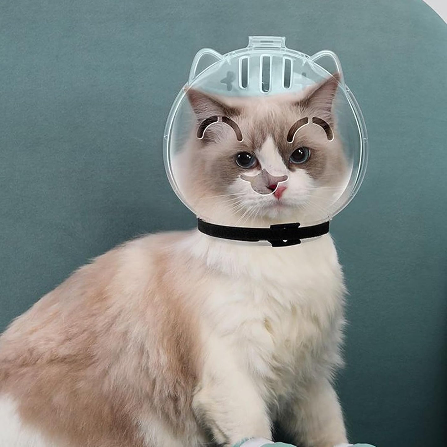 Breathable Cat Muzzle – Transparent Adjustable Pet Hood With Ventilation Holes | Kitten Astronaut Helmet For Bathing, Grooming, And Anti-Bite Protection