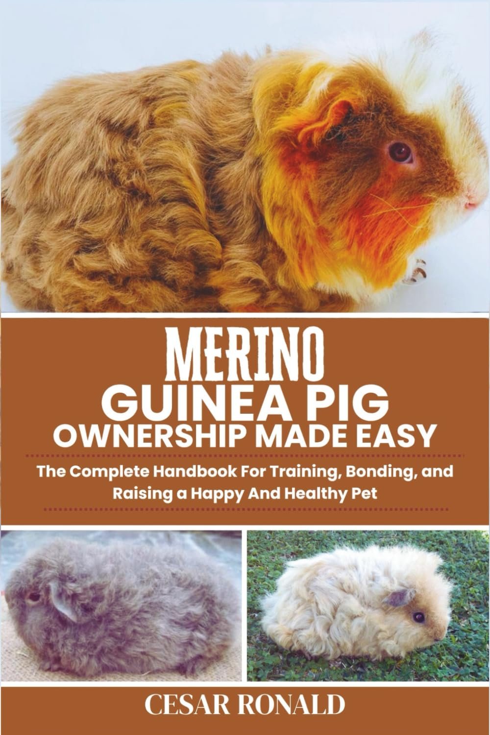 Merino Guinea Pig Ownership Made Easy: The Complete Handbook For Training, Bonding, and Raising a Happy And Healthy Pet