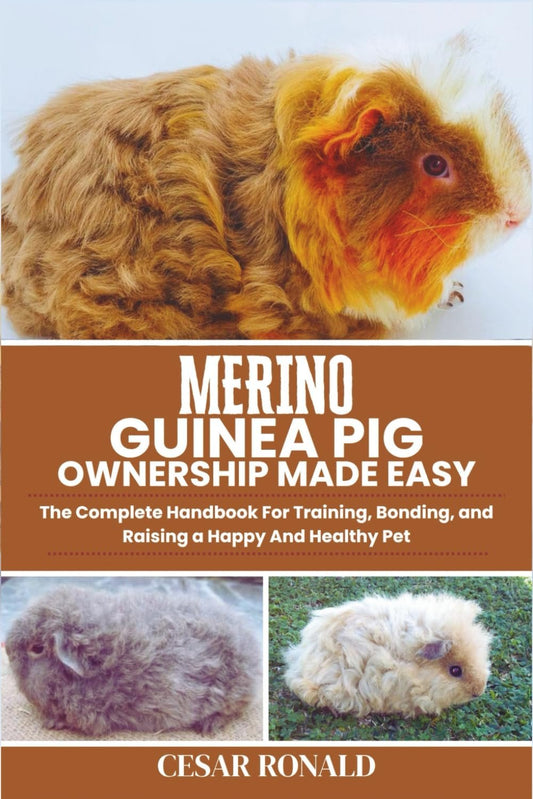 Merino Guinea Pig Ownership Made Easy: The Complete Handbook For Training, Bonding, and Raising a Happy And Healthy Pet