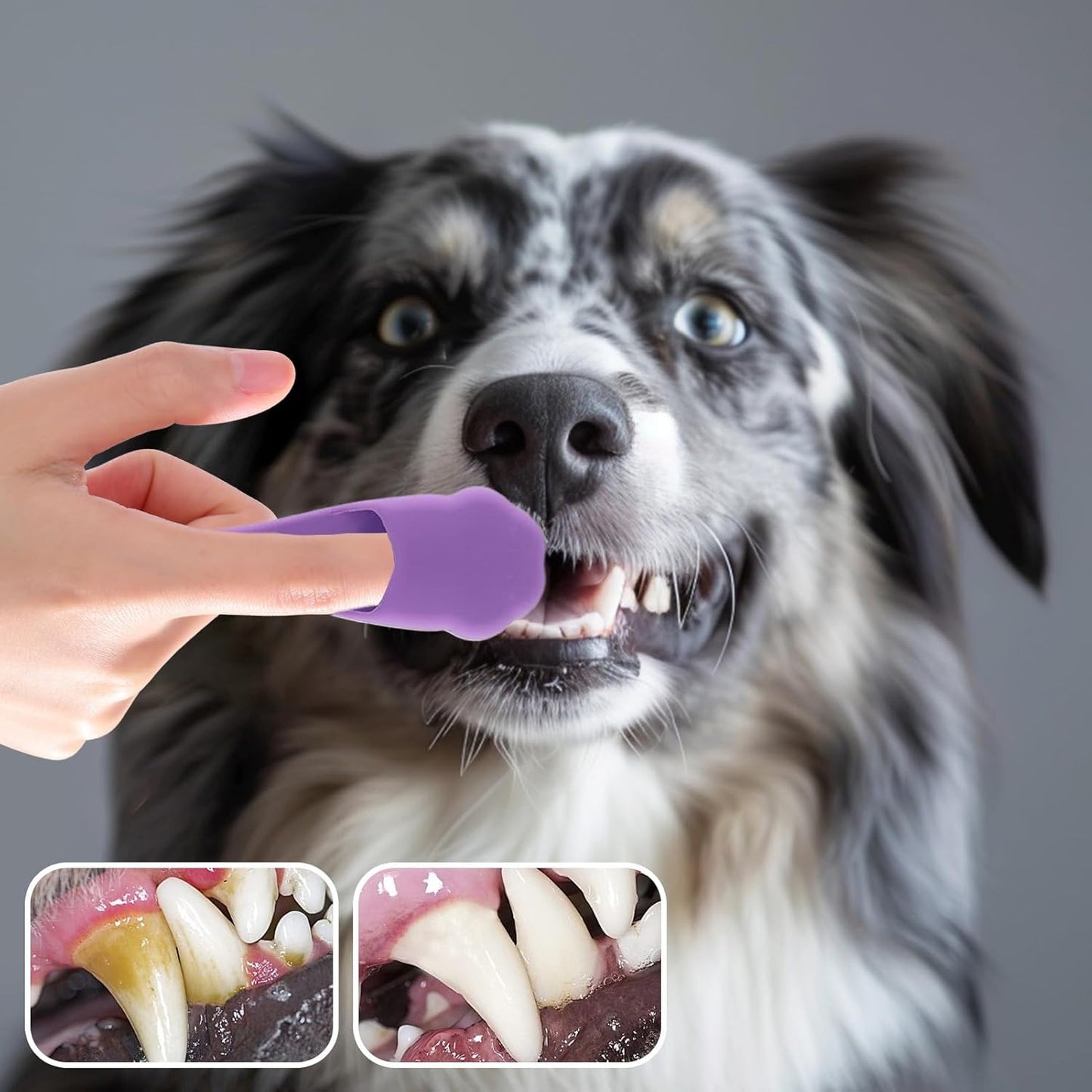 Toothbrush For | Cat Toothbrush Plaque Removal | Oral Care Properties for Pets - Dental for Dogs, Easy Teeth Cleaning, Tooth Brush