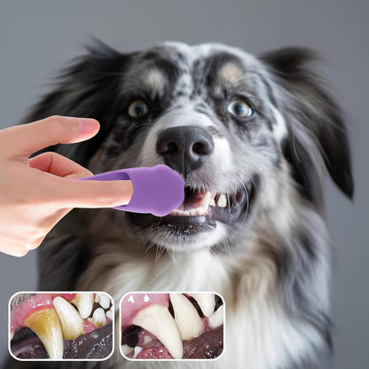 Toothbrush For | Cat Toothbrush Plaque Removal | Oral Care Properties for Pets - Dental for Dogs, Easy Teeth Cleaning, Tooth Brush