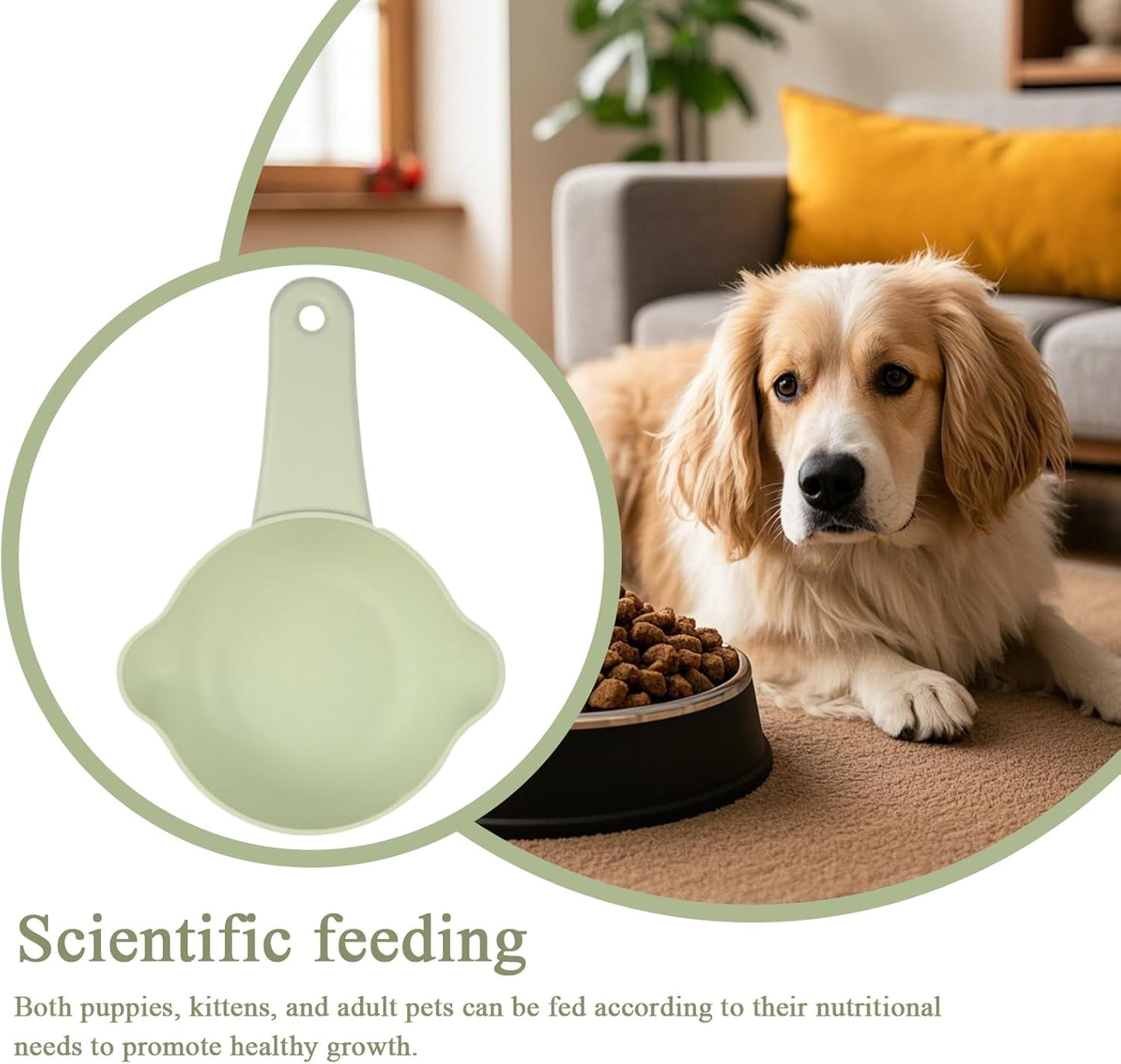 Gungtj Pet Food Scoop | Cute Adjustable Convenient Food Scoop | Measuring Cups, Cat Feeding & Watering Supplies For Wet, Grain, Cooking, Kitchen