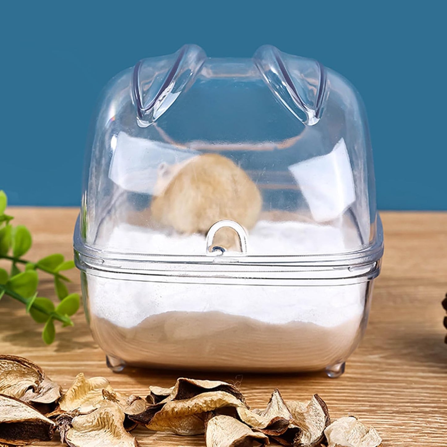 Criceto Sand Bath Container, design trasparente, 6,3 x 4,33 in Clear Cinchilla Bathtub, Autentico Grooming, Easy Clean Shell for Small Animal, Gabbia Accessory