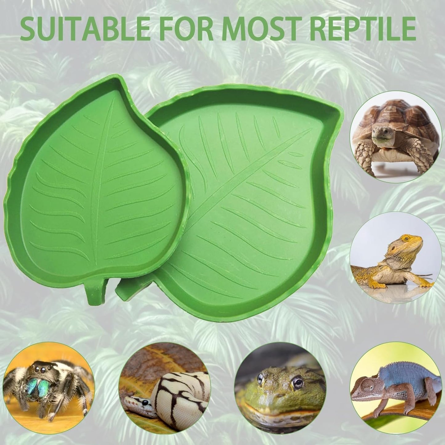 2 Pcs Reptile Leaf Food Water Dish Bowl,Food Feeding Plate Reptile Accessories for Turtles, Geckos, Lizards, Hamsters, Snakes, Spiders, Frogs, Chameleons and Other Reptiles (Large and Small)