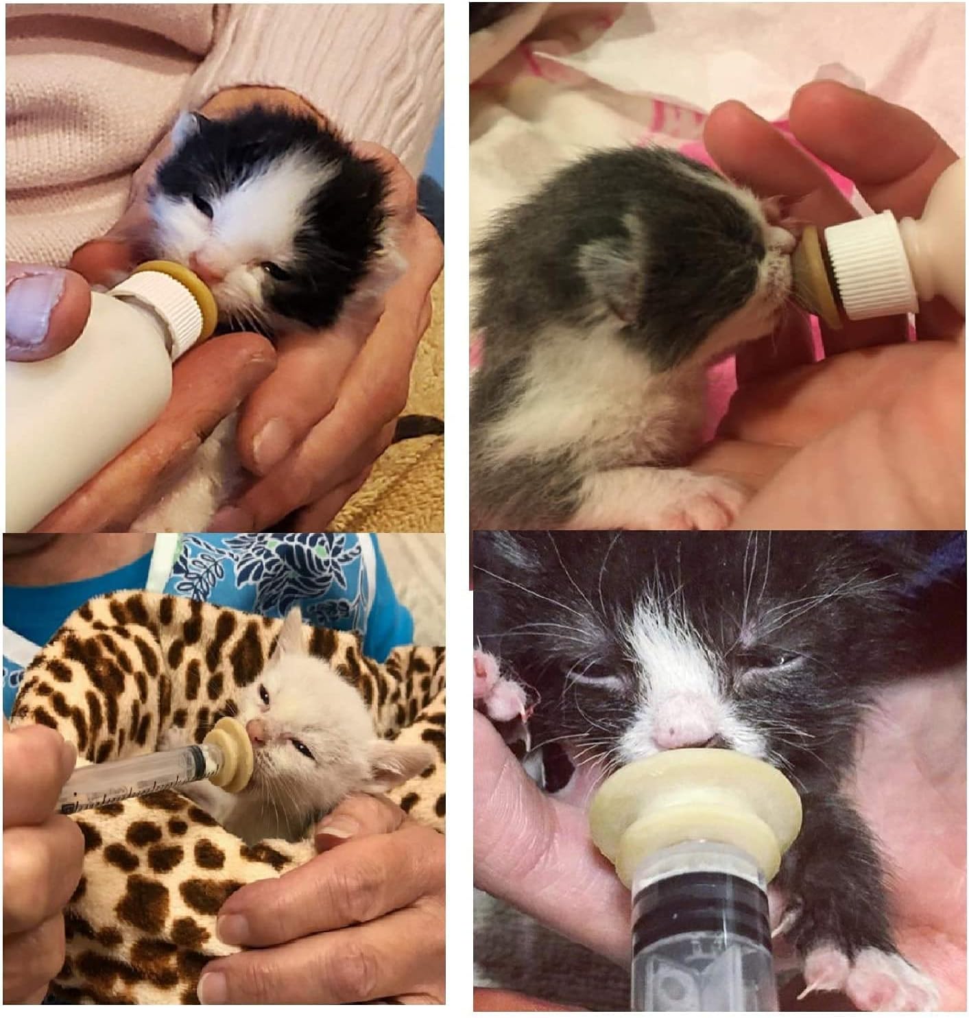 Newborn Pet bottle, Pet Feeding bottle that can replace the Original Pacifier, pet pill tablet feeder, suitable for newborn puppies, kittens, rabbits, squirrels and other small animals, suitable for newborn smaller mammals