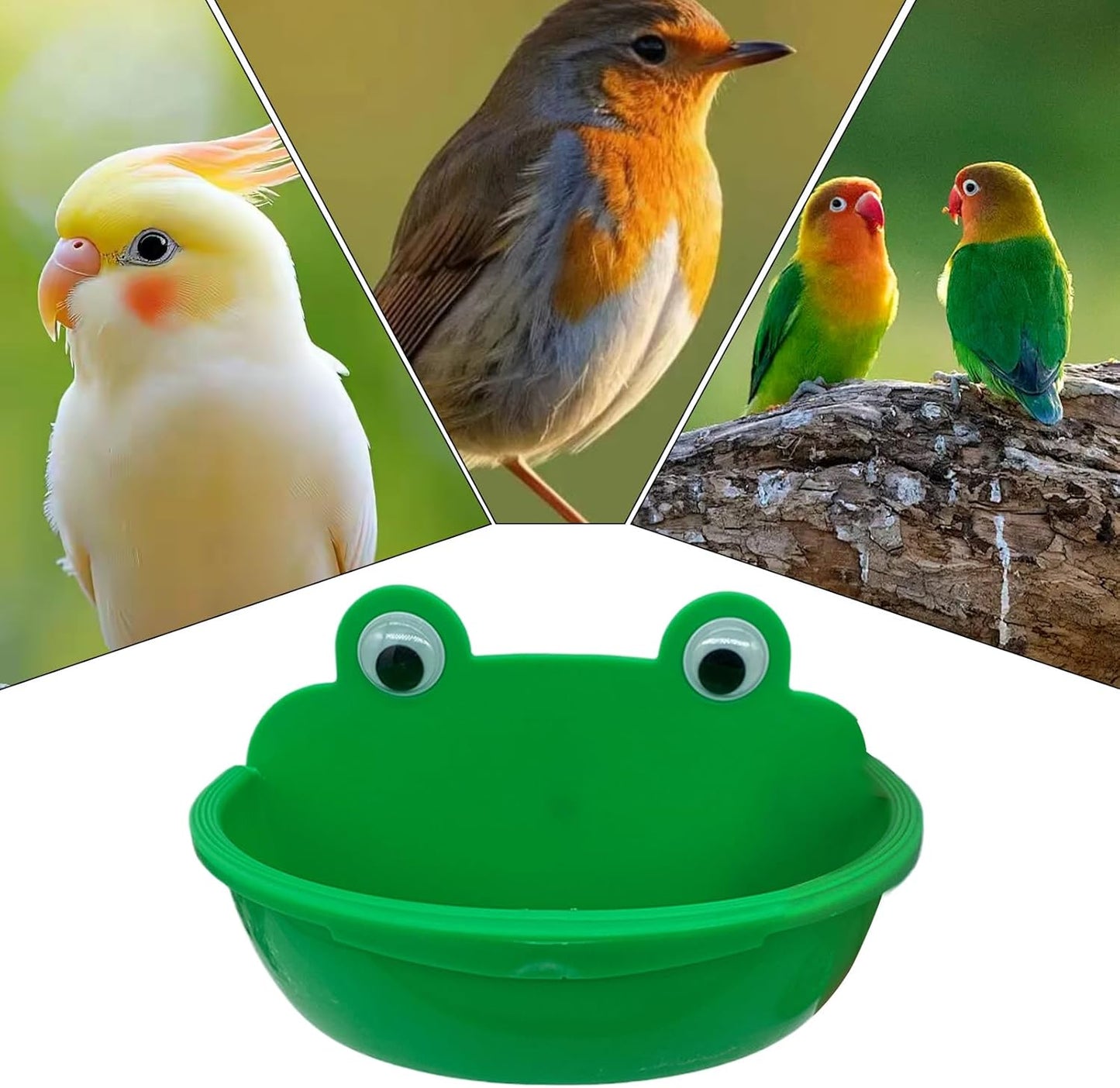Bird Food Bowl, Parrot Watering Bowl, Splash-Proof Parrot Watering Feeding Dish for Macaw Lovebirds, Parakeet Bathing Container
