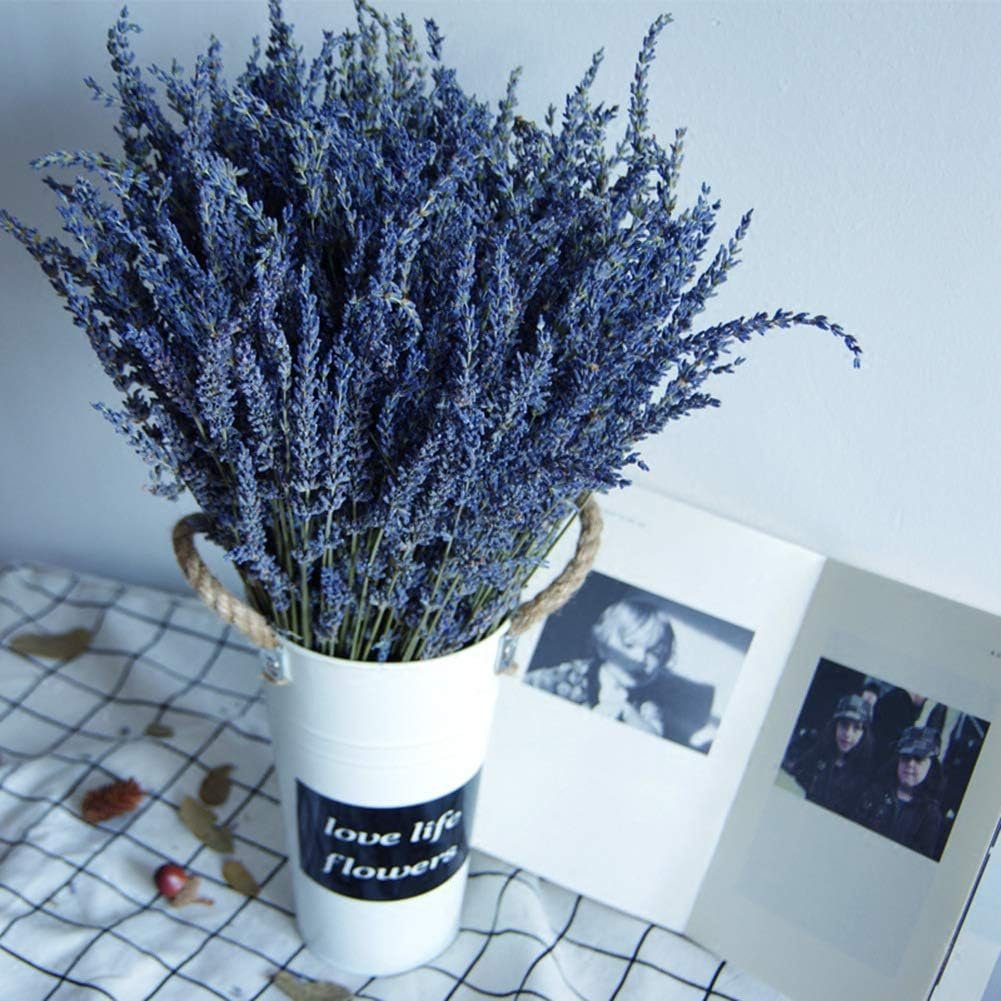 TooGet Natural Lavender Bundles, Freshly Harvested 200+ Stems Dried Lavender Bunch 16" - 18" Long, Decorative Flowers Bouquet for Home Decor, Crafts, Gift, Wedding or Any Occasion