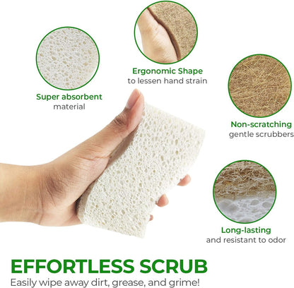 AIRNEX 6 Pack Biodegradable Natural Kitchen Sponges - Eco Friendly Cellulose and Coconut Husk - Non Scratch, Odourless, Dual Sided, Multipurpose, Sponges for Dishes with Dish Scrubber