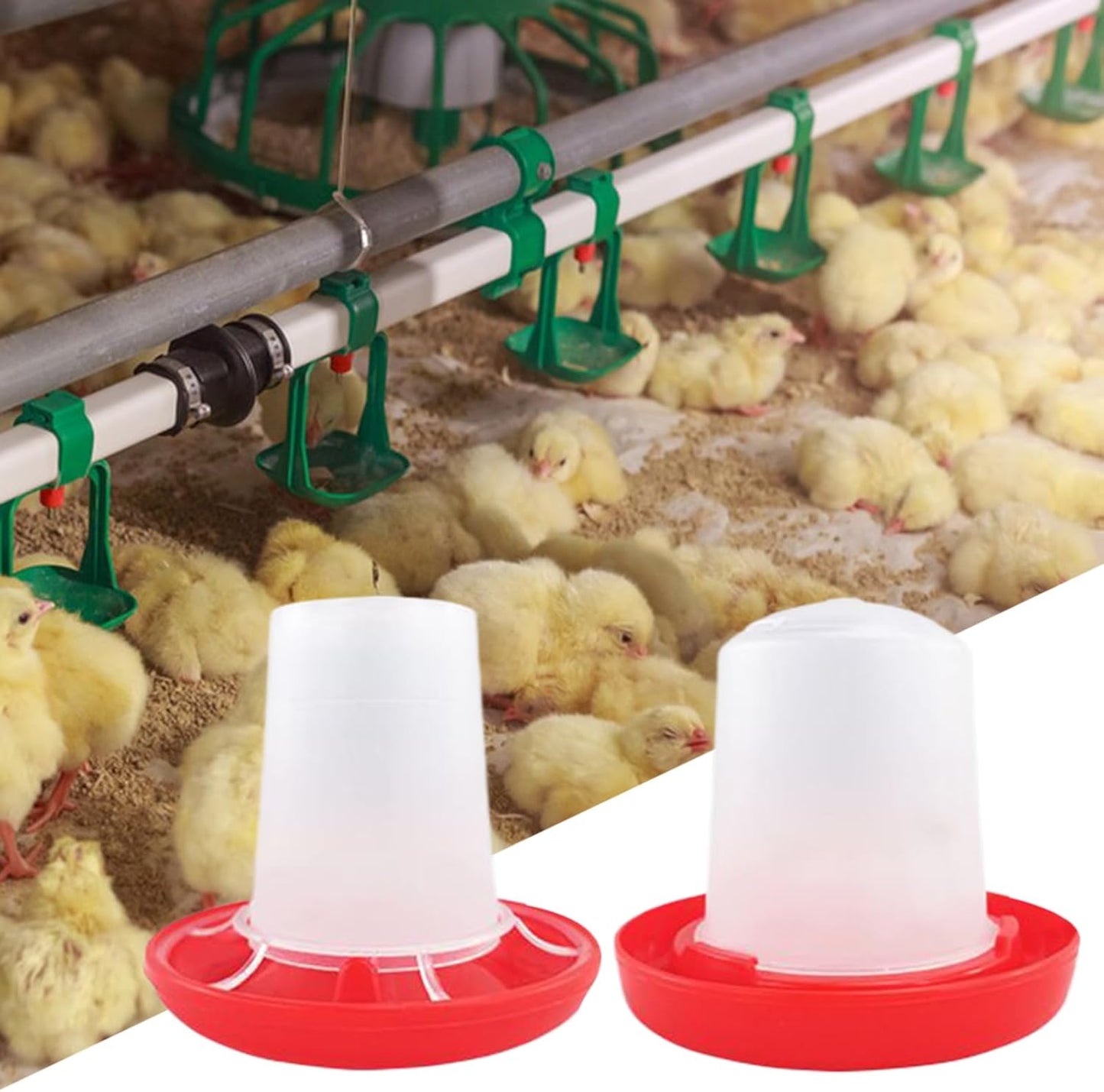 Chicken Feeder and Waterer Set | Automatic Chicken Feeders - Poultry Feeding & Watering Supplies for Farm Pet Outdoor Baby Barn Family Livestock Friends