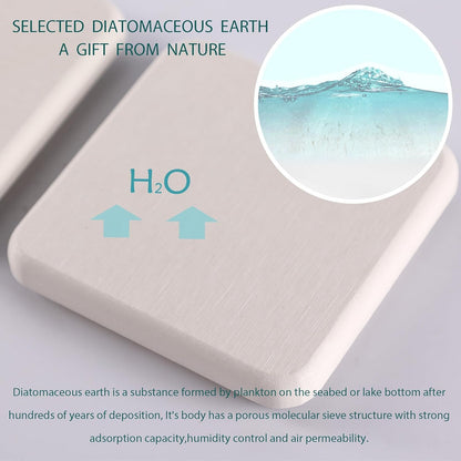 NiuYichee 2 PCS Bathroom Vanity Trays(8.66" * 3.15"), Diatomite Coasters, Kitchen Sink Soap Dish, Water Absorbing Stone Used for Hand Soap & Plants & Cosmetic Bottles in The Modern Home