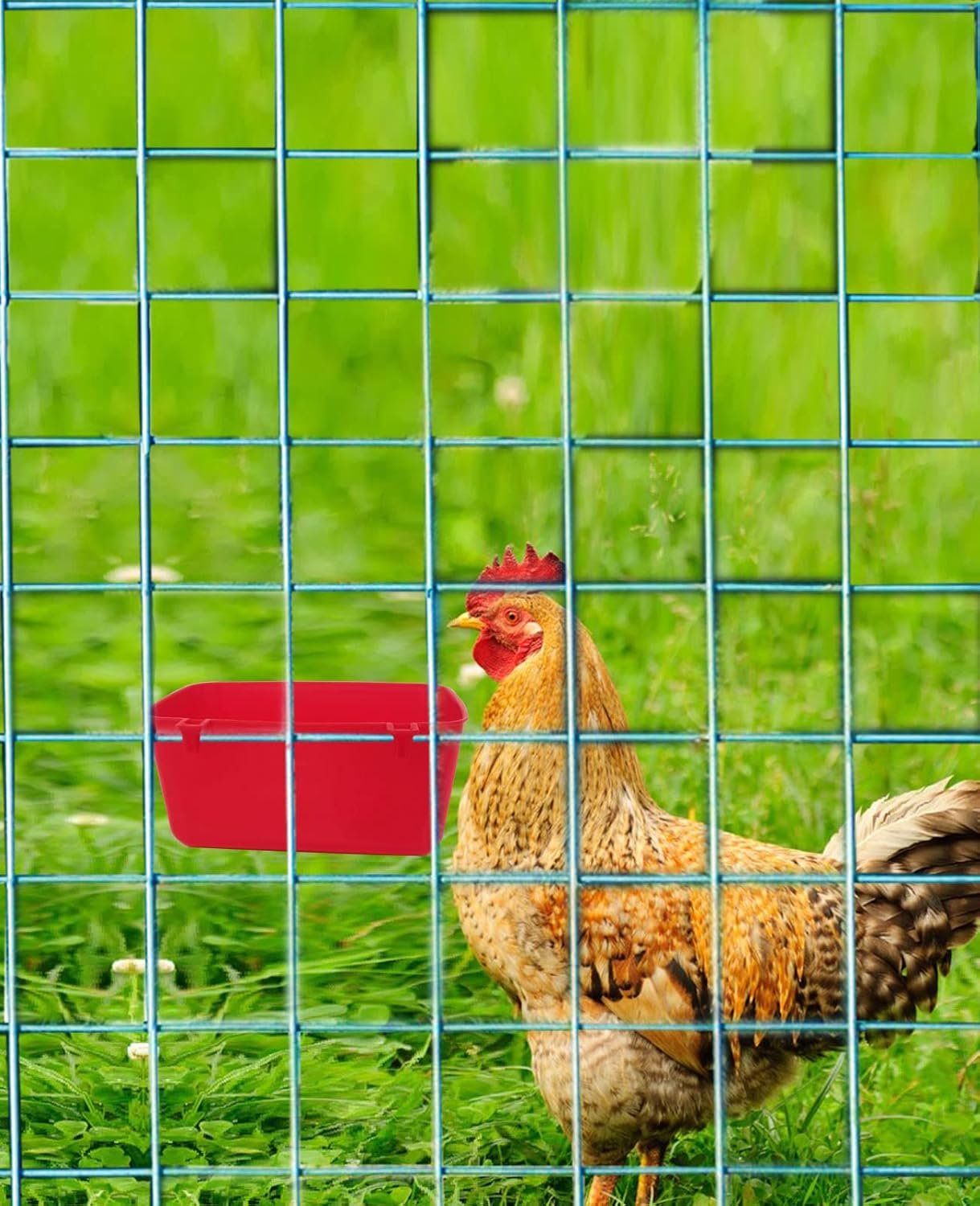 6 Pack Rabbit Feeder Waterer Chicken Large Food Water Cups for Cage Puppy Cat Hanging Feeding Dish Coop Bowl Watering Container Treats Drinker for Pigeon Bird Bath Basin Hamster Bed