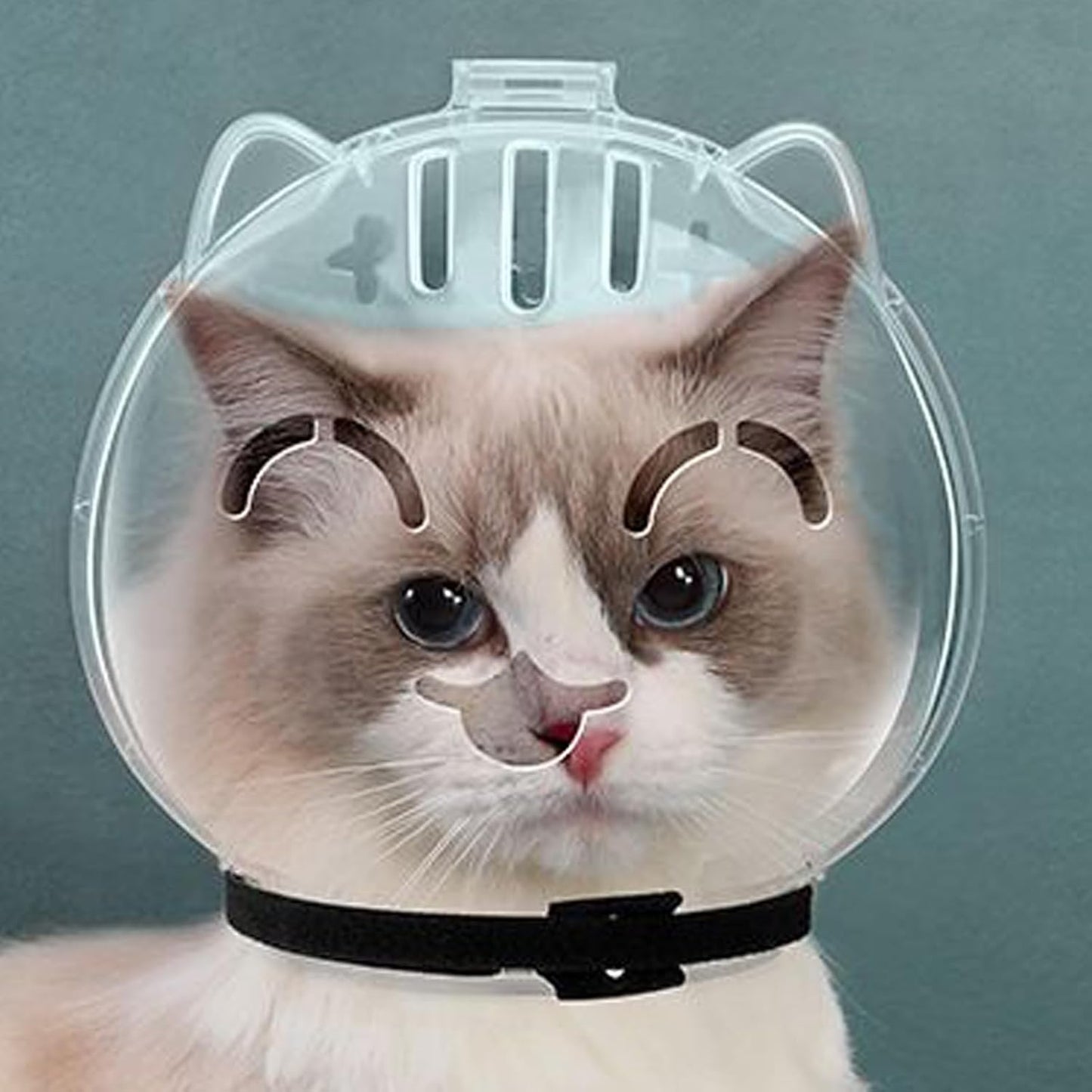 Breathable Cat Muzzle – Transparent Adjustable Pet Hood With Ventilation Holes | Kitten Astronaut Helmet For Bathing, Grooming, And Anti-Bite Protection