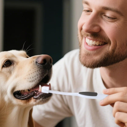 Dog Toothbrush, Kitten with Soft Bristles, Non-Slip Pets Oral Cares Brush, Teeth Cleaning Tool, Gentle Pet Grooming, Home Care and Hygiene for Dogs and Cats, 16.8x1.9x0.8cm